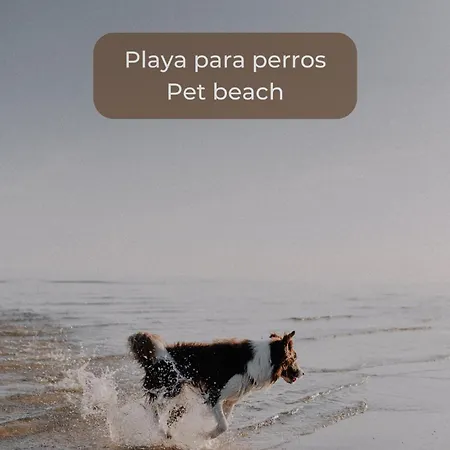 Basa Paradise - Piscina, Terraza, Wifi Y Parking 코라레호